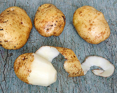 Grønne kartofler og giftstoffer